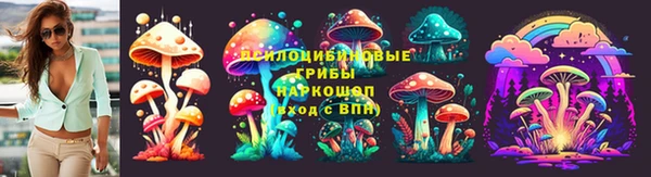 СК Володарск