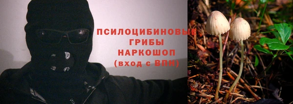 СК Володарск