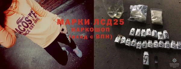 СК Володарск