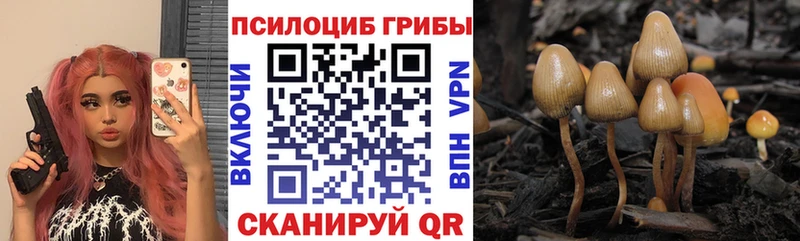 Галлюциногенные грибы GOLDEN TEACHER  Купить  Княгинино 